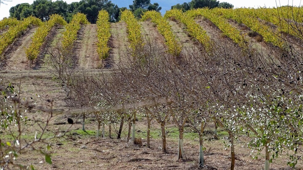 Pocido, La Font de la Figuera, Valencia for sale - Building Photo - Image 3 of 21