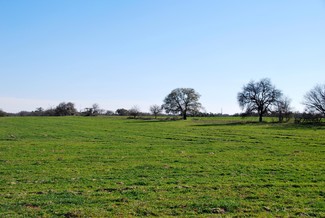 More details for 181 Pine Meadow Rd, Seguin, TX - Land for Sale