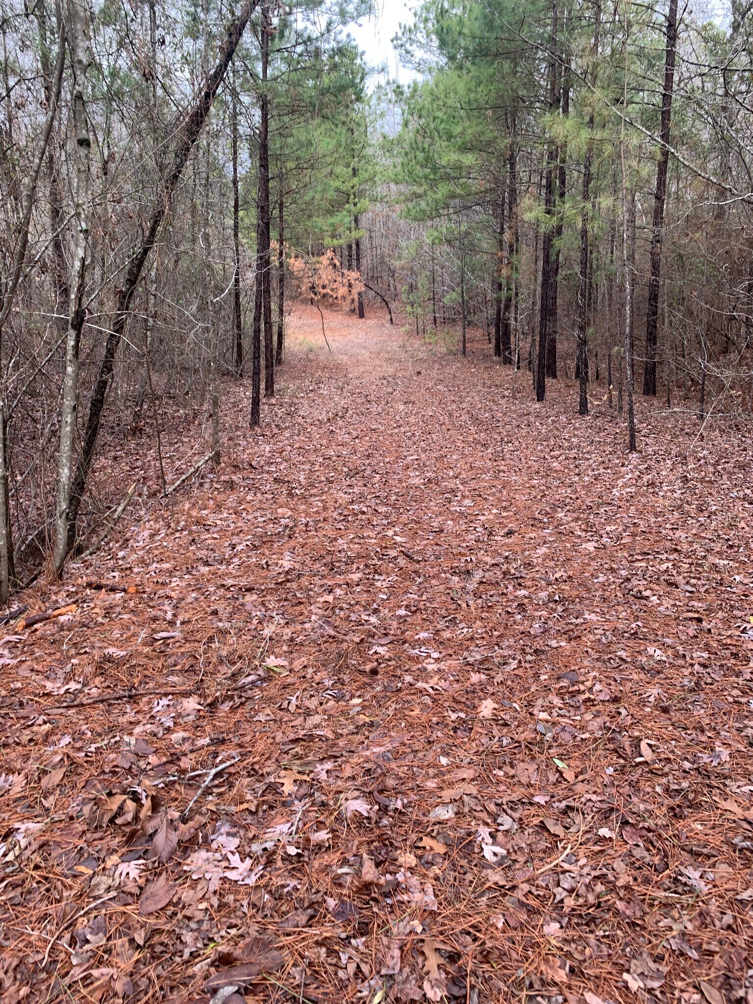 TBD Sulphur Springs, Malvern, AR for sale Primary Photo- Image 1 of 1