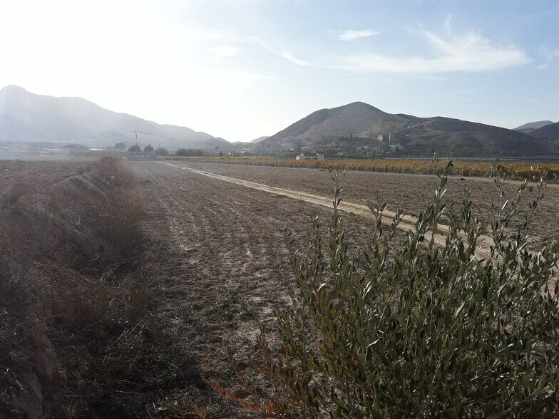 Land in Aspe for sale - Building Photo - Image 2 of 4