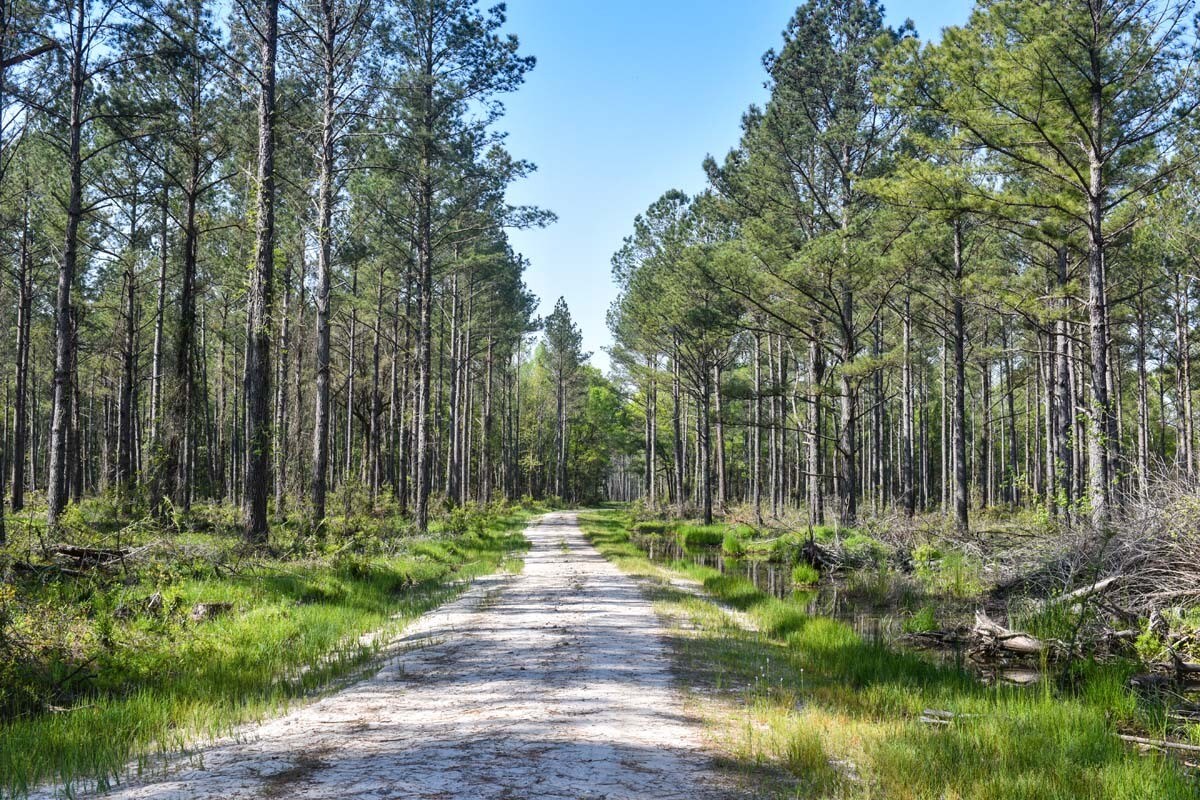 0 Salkehatchie Road, Early Branch, SC for sale Primary Photo- Image 1 of 1