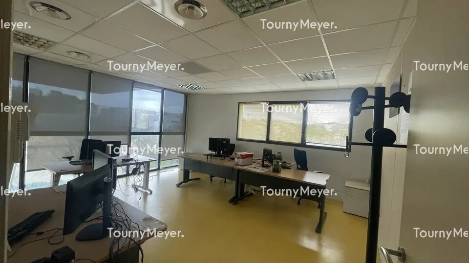 Office in Montpellier for lease - Interior Photo - Image 2 of 6