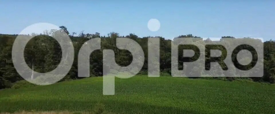 Industrial in Limoges for sale - Building Photo - Image 1 of 14