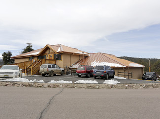 More details for 800 E Hwy 24, Woodland Park, CO - Office, Office/Retail for Lease