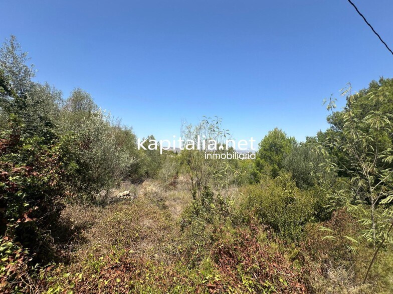 Land in San Cristóbal de La Laguna, Santa Cruz de Tenerife for sale - Building Photo - Image 2 of 4