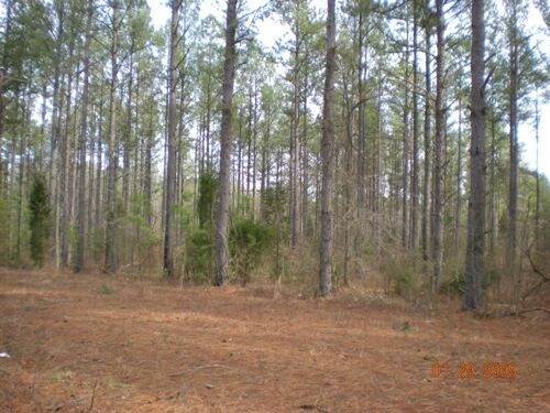 1656 Summerland Hwy, Leesville, SC for sale - Primary Photo - Image 1 of 1