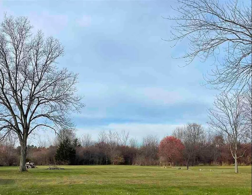 1217 E Frances, Mount Morris, MI for sale Primary Photo- Image 1 of 3