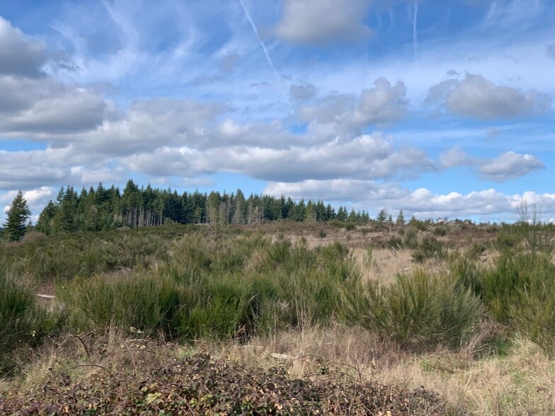 20-05-24-00-00601, Lorane, OR for sale - Building Photo - Image 1 of 1