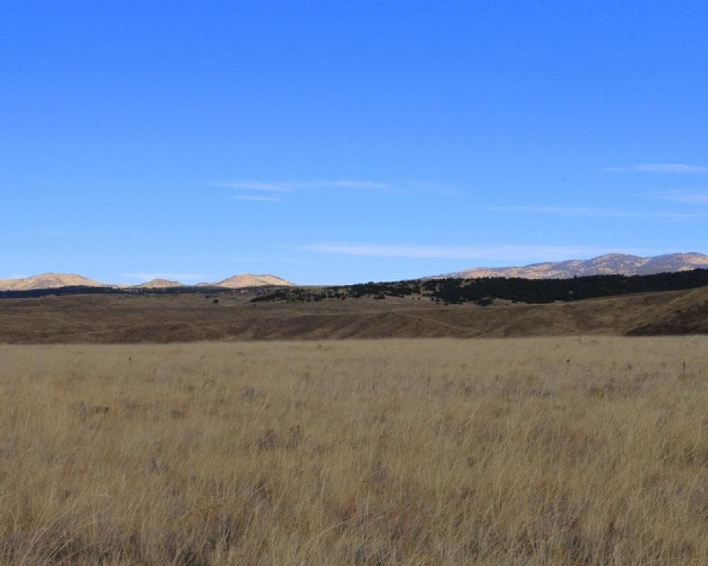 Centennial Ranch Rd, Westcliffe, CO for sale Primary Photo- Image 1 of 1