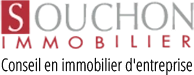 Souchon Immobilier