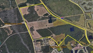 More details for 0 Tomoka Farms, Port Orange, FL - Land for Lease