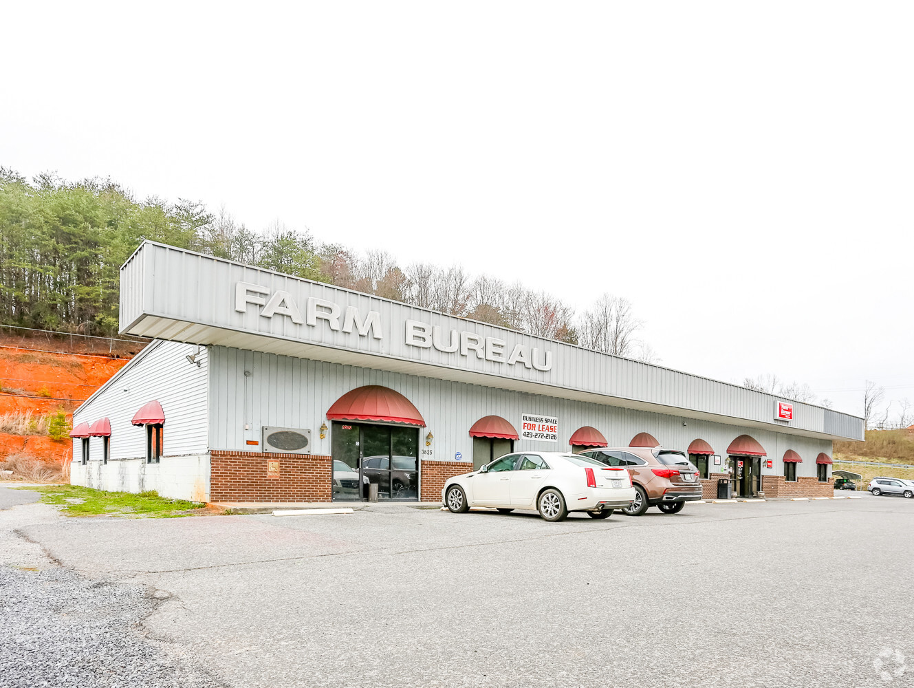 3825 Highway 66 S, Rogersville, TN for sale Primary Photo- Image 1 of 1