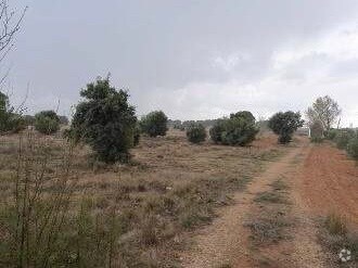 Land in El Provencio, Cuenca for sale Primary Photo- Image 1 of 4