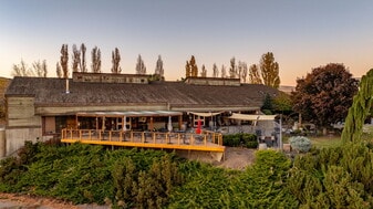 1500 Vintage Rd, Zillah WA - Vineyard