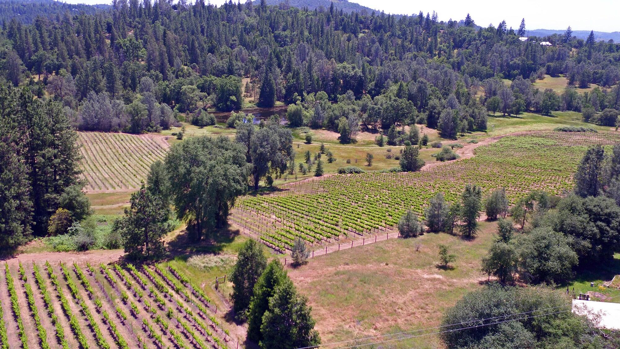 2145 Hidden Ranch Rd, Somerset, CA for sale Primary Photo- Image 1 of 1