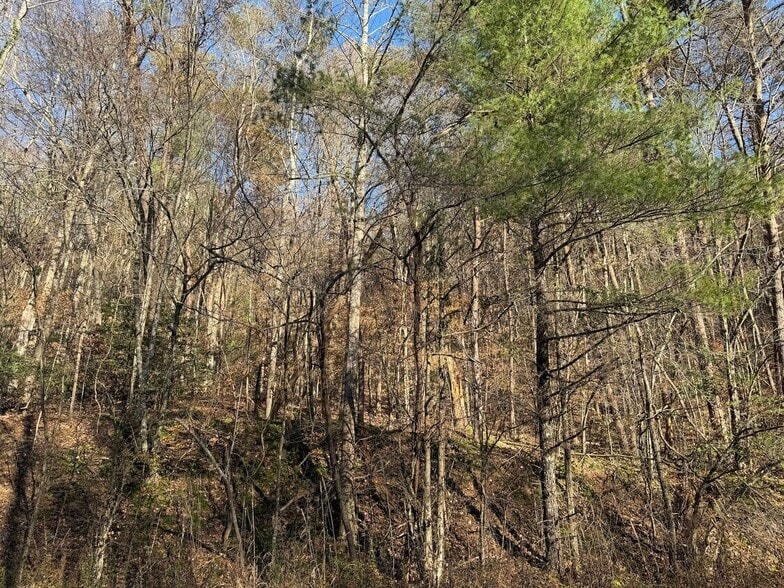 Whitepath Rd, Ellijay, GA for sale - Primary Photo - Image 1 of 3