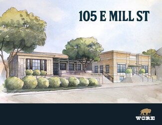 More details for 105 E Mill St, New Braunfels, TX - Office for Lease