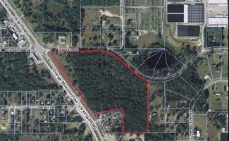 More details for 4261-4411 N Orange Blossom Trl, Mount Dora, FL - Land for Sale