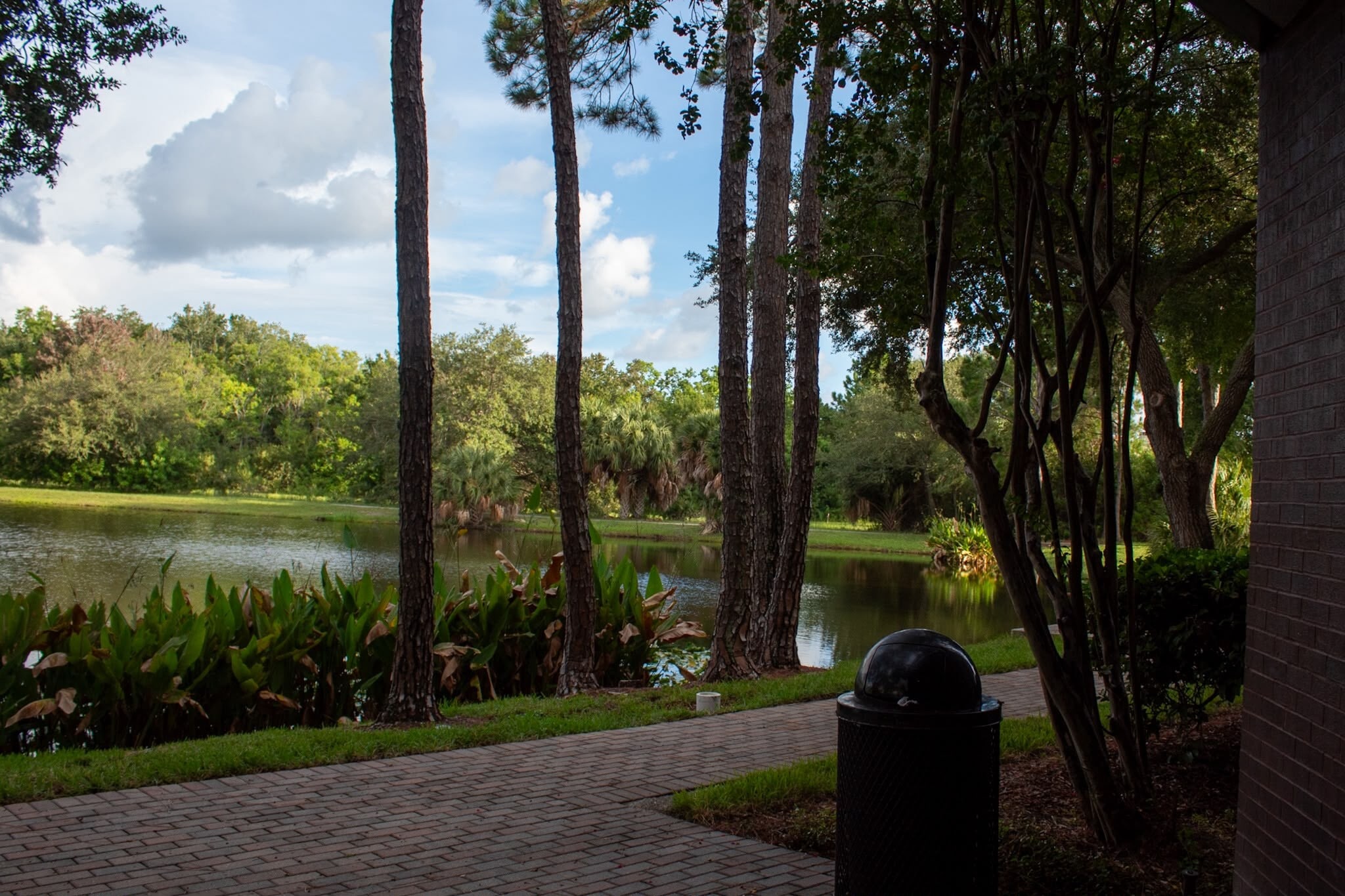 12425 28th St N, Saint Petersburg, FL for lease Interior Photo- Image 1 of 23