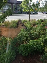 2400 Dollarton Hwy, North Vancouver, BC for lease Other- Image 2 of 15