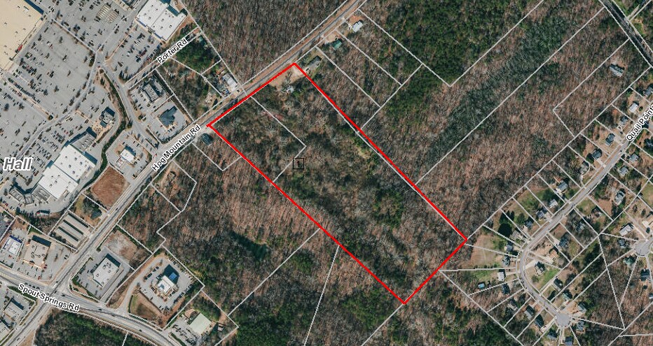 4651 Hog Mountain Rd, Flowery Branch, GA for sale - Primary Photo - Image 1 of 2