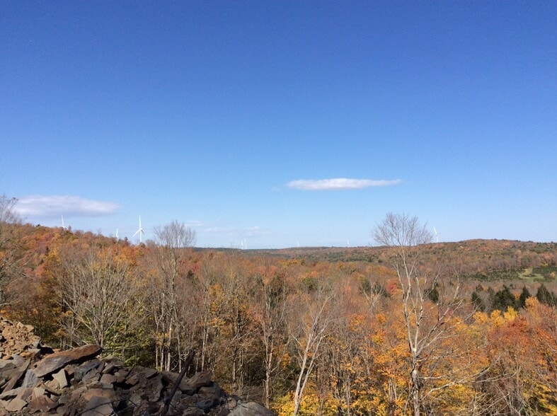 2332 Old Rte 17, Windsor Township, NY for sale - Other - Image 2 of 5