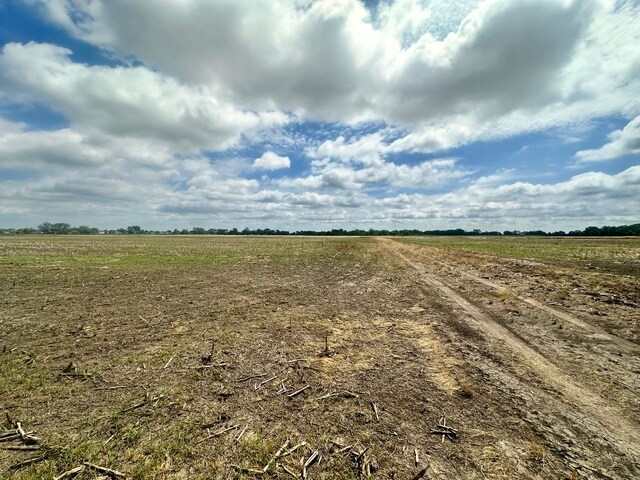 View Photo