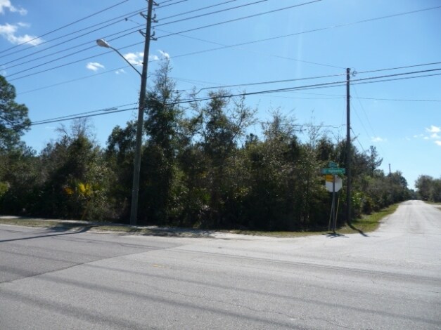 Cunningham Rd & Highbanks Rd, DeBary, FL for sale - Primary Photo - Image 1 of 1