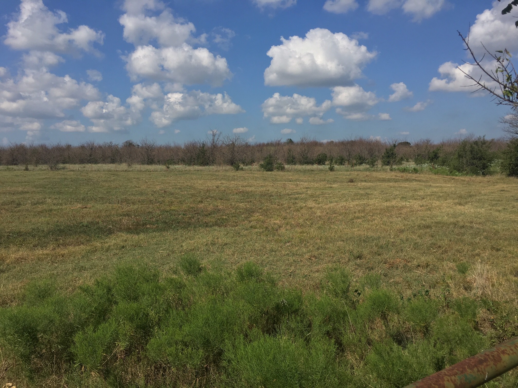 Frog Pond Rd, Sherman, TX for sale Other- Image 1 of 1