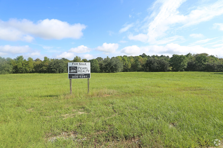 Lot 16 Al-110, Pike Road, AL for sale - Primary Photo - Image 1 of 1