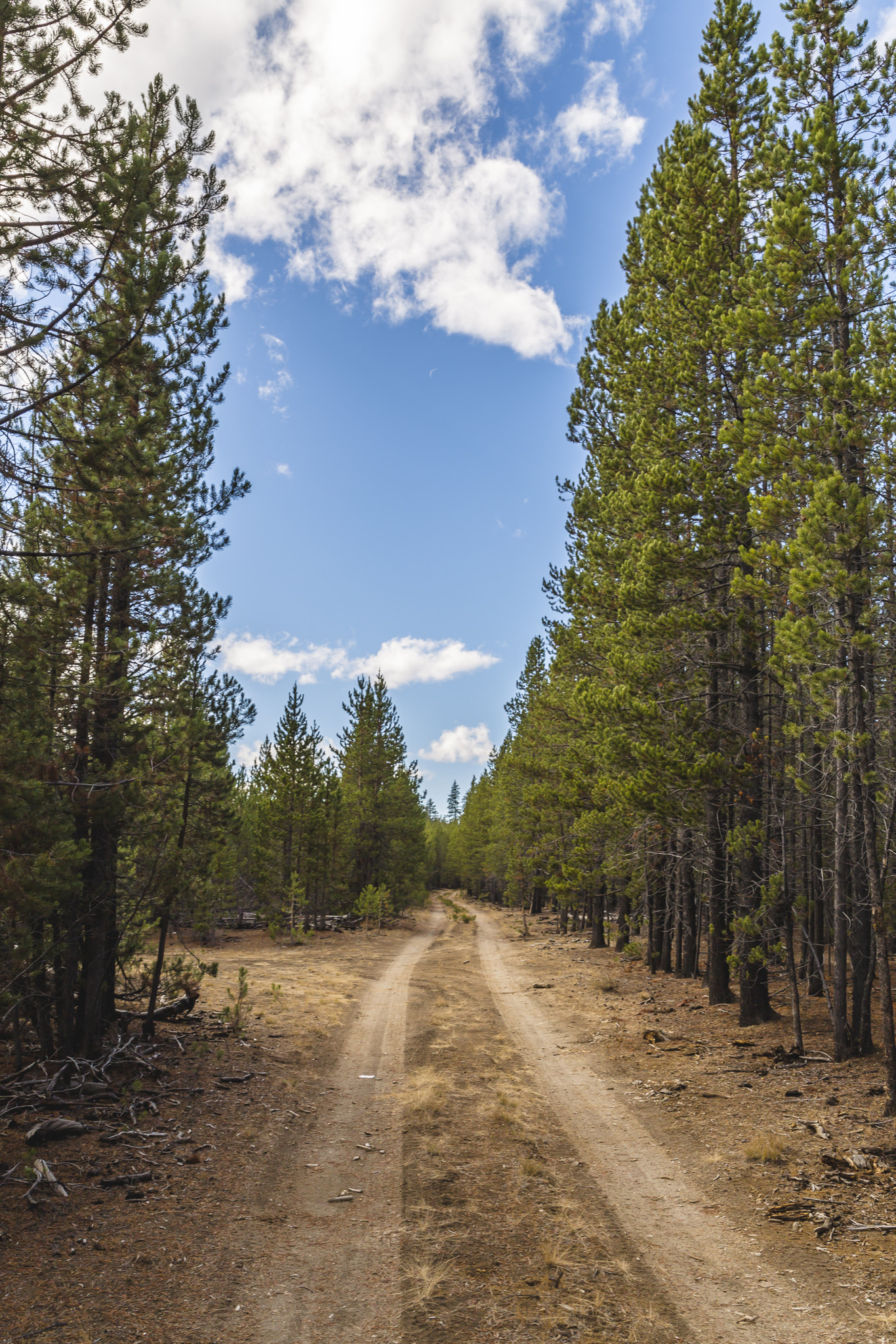 US Forest Service Rd, Silver Lake, OR 97638 - Parker Ranch | LoopNet