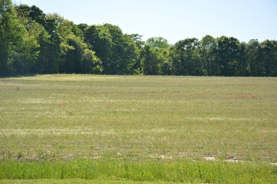 Highway 167 North, Enterprise, AL for sale - Building Photo - Image 1 of 1