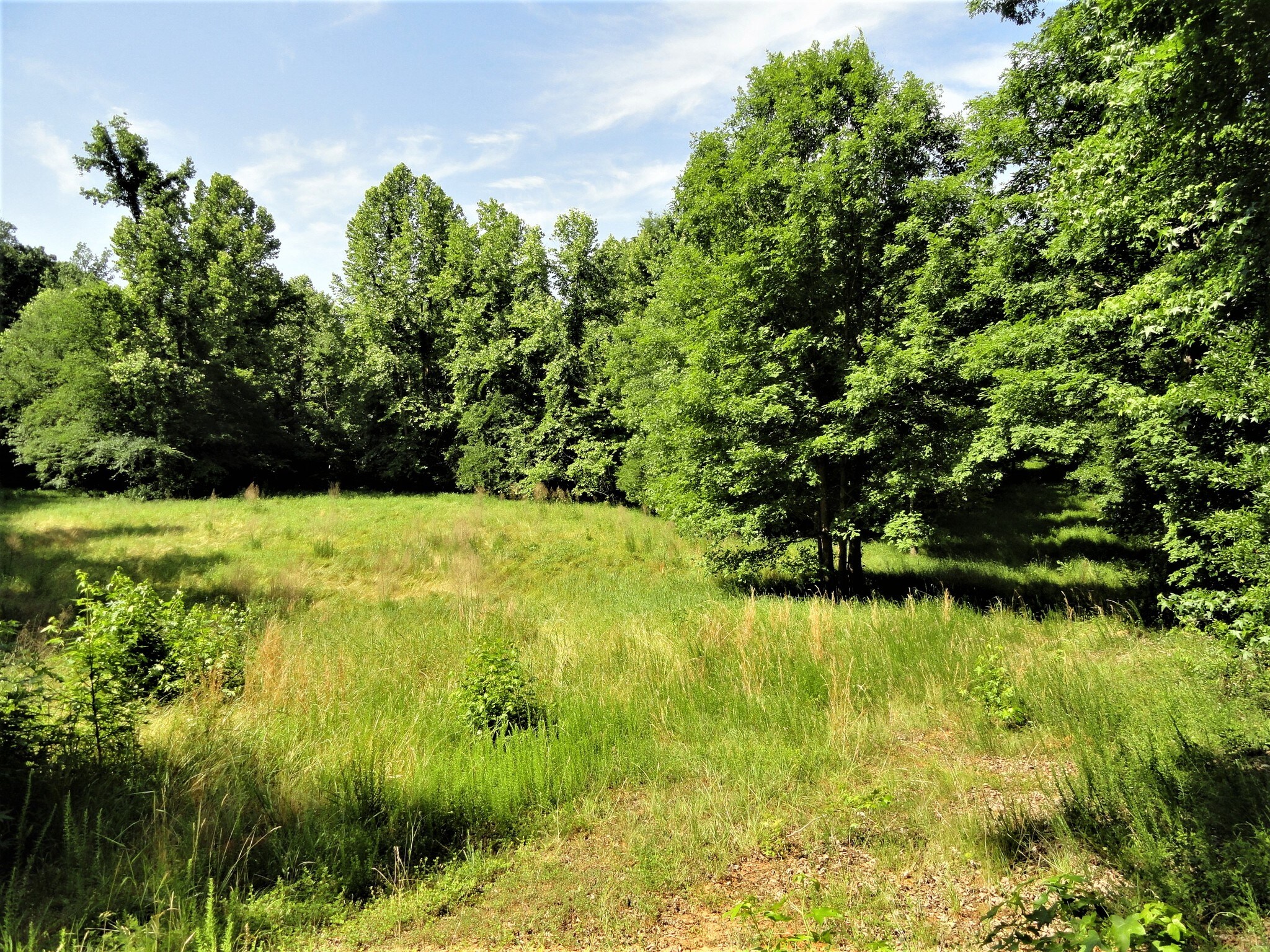 0 Old Milton Rd, Clinton, SC for sale Primary Photo- Image 1 of 1