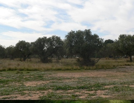 Land in Cambrils, Tarragona for sale - Primary Photo - Image 1 of 8