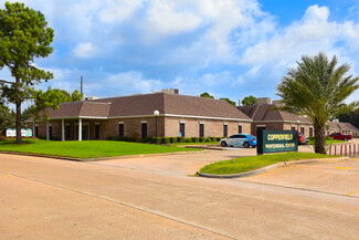 More details for 7050 Lakeview Haven, Houston, TX - Office, Retail for Lease