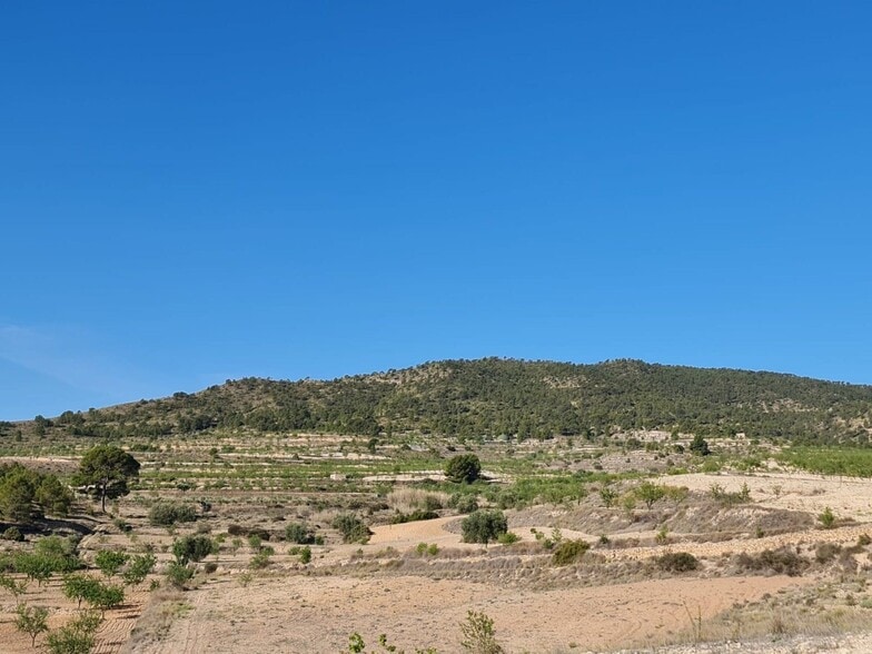 Land in Yecla for sale - Building Photo - Image 3 of 28