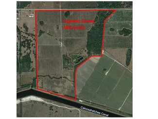 More details for State Road 78, Moore Haven, FL - Land for Sale