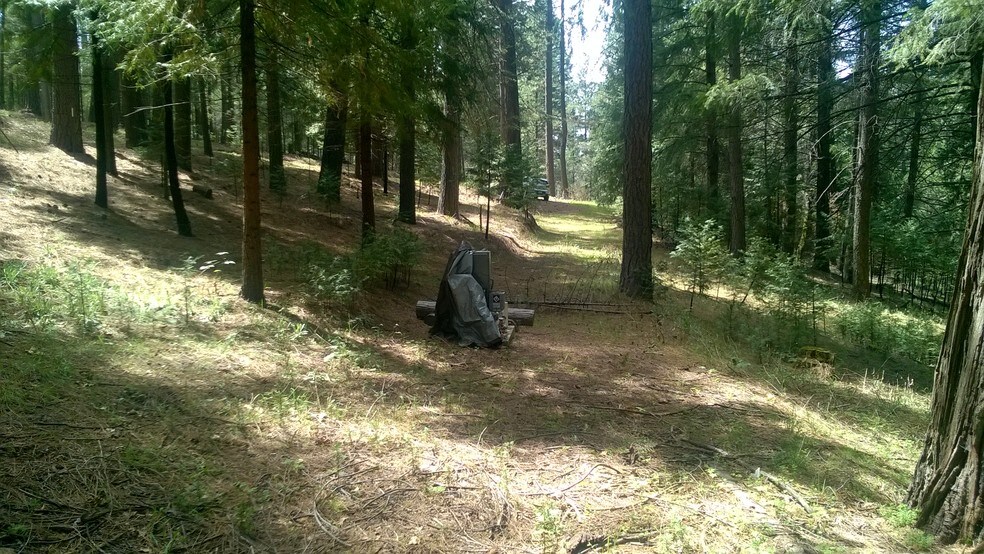 9401 Grizzly Flat Rd, Grizzly Flats, CA 95636