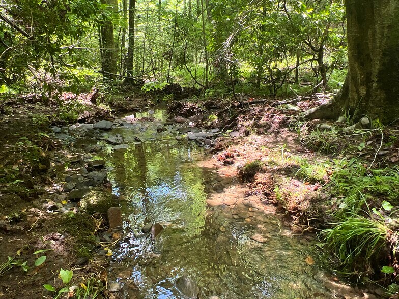 Sheila Drive, Ellijay, GA for sale - Building Photo - Image 1 of 1