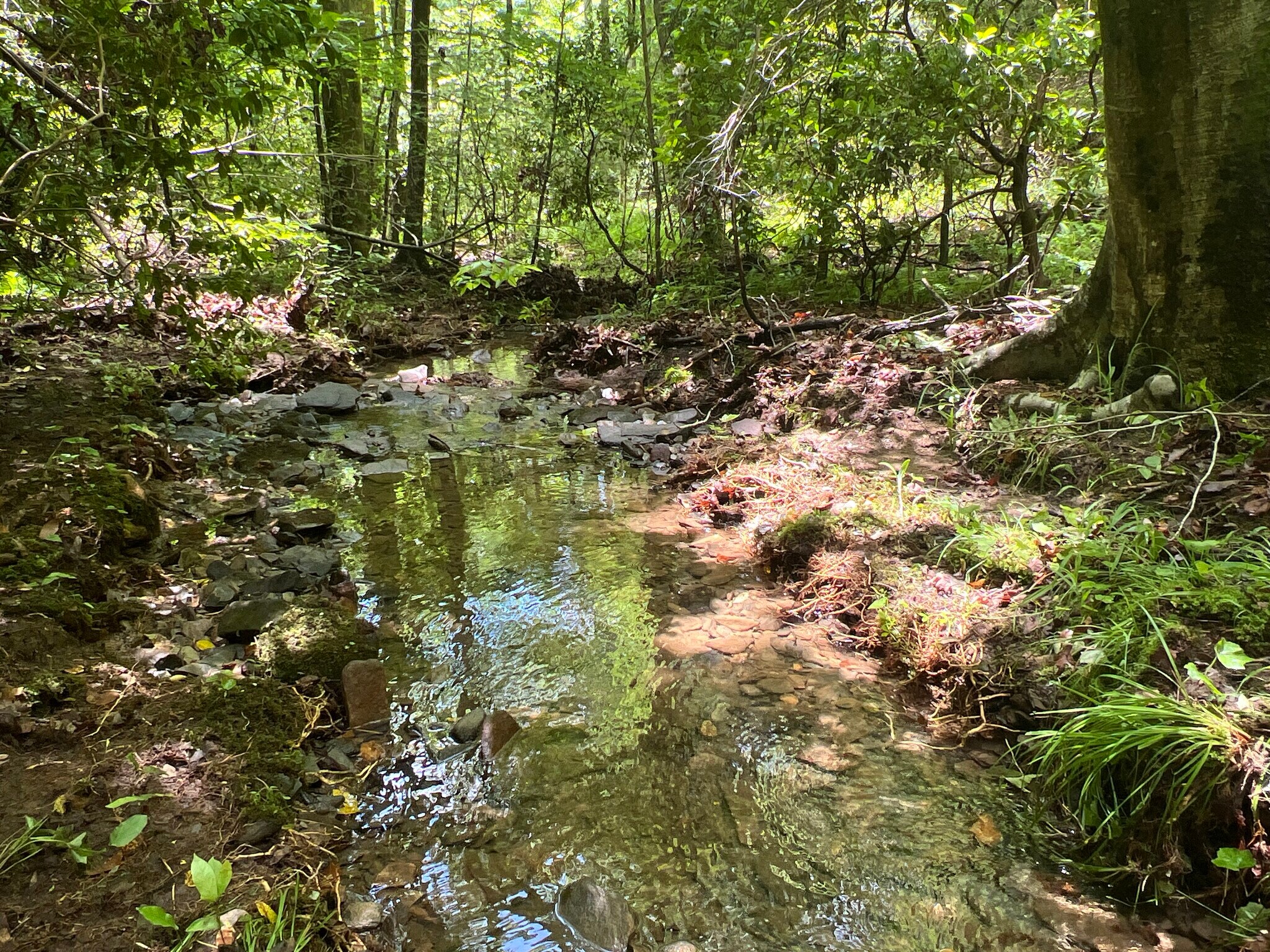 Sheila Drive, Ellijay, GA for sale Building Photo- Image 1 of 1