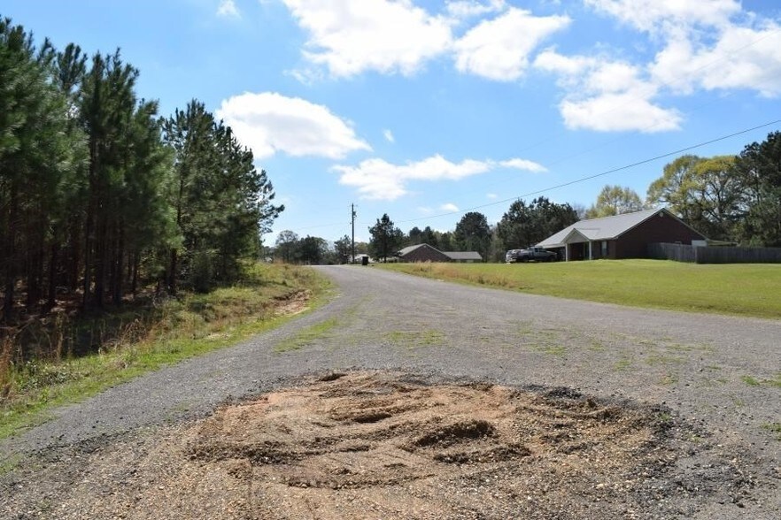 Antler Dr, Summit, MS 39666