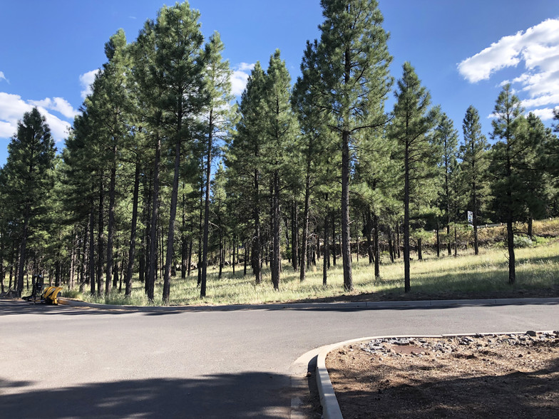 800 N Switzer Canyon Dr, Flagstaff, AZ for sale - Other - Image 1 of 16