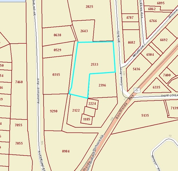 207 Coxe Ave, Asheville, NC for lease - Plat Map - Image 2 of 4