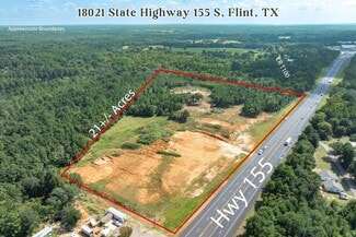 More details for 18021 State Highway  155 S hwy, Flint, TX - Land for Sale