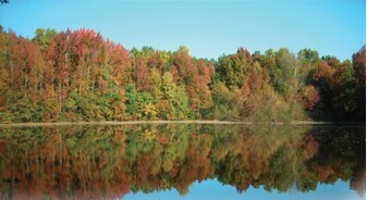 Griffith Lakes Shopping Center-Proposed - Storefront Property
