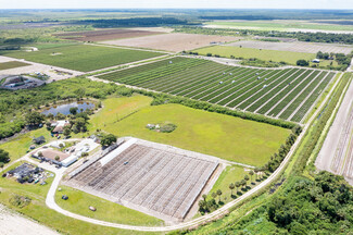 More details for 6150 Pringle Ln, Immokalee, FL - Land for Sale