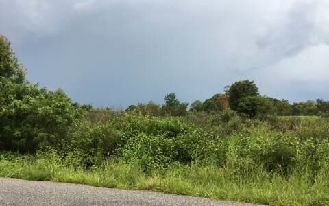 552 Sumner Rd, Wauchula, FL for sale Primary Photo- Image 1 of 1