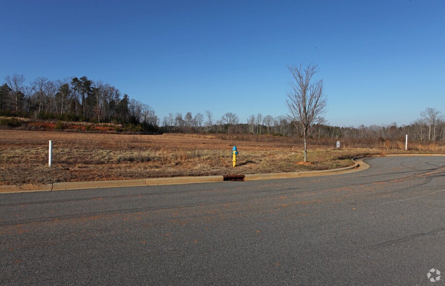 Lot 9 Balsom Ridge Rd, Denver, NC for sale - Primary Photo - Image 1 of 1