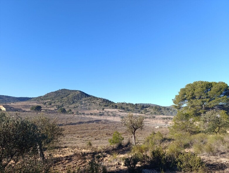 Land in Yecla for sale - Building Photo - Image 2 of 11