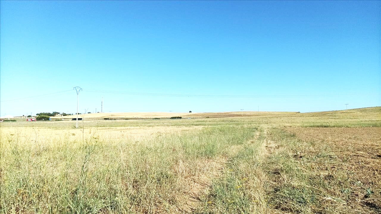 Land in Simancas for sale Building Photo- Image 1 of 13